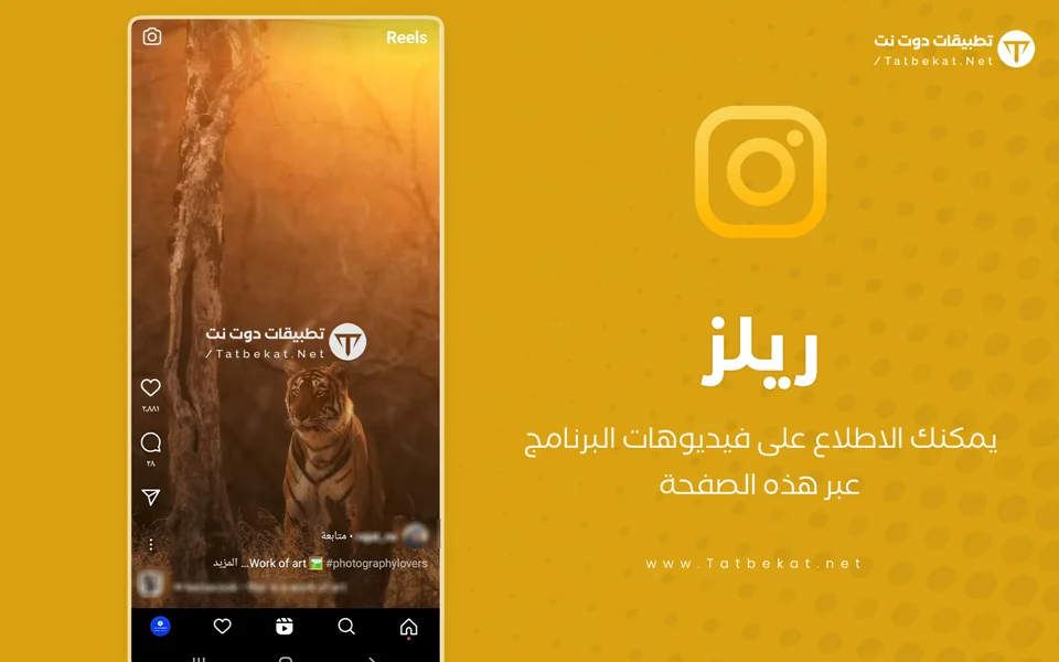 انستا الذهبي